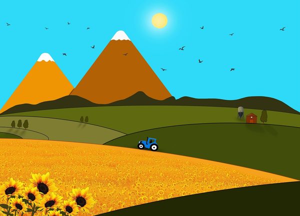 Quels sont les régimes fiscaux des exploitations agricoles ?